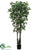 Mangrove Tree - Green Two Tone - Pack of 2