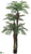 Areca Palm Tree - Green - Pack of 2