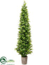 Silk Plants Direct Podocarpus Topiary - Green - Pack of 1