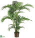 Silk Plants Direct Kentia Palm Tree - Green - Pack of 2