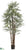 Rhapis Palm Tree - Green - Pack of 2