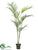 Areca Palm Tree - Green - Pack of 2