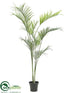 Silk Plants Direct Areca Palm Tree - Green - Pack of 2