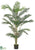 Areca Palm Tree - Green - Pack of 2