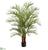 Areca Palm Tree - Green - Pack of 2