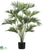 Areca Palm Tree - Green - Pack of 2