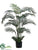 Areca Palm Tree - Green - Pack of 2