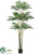 Areca Palm Tree - Green - Pack of 2