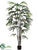 Rhapis Palm Tree - Green - Pack of 2