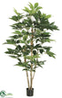 Silk Plants Direct Schefflera Tree - Green - Pack of 2