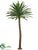 Yucca Tree - Green - Pack of 1