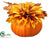 Dahlia, Maple - Yellow Rust - Pack of 6