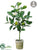 Silk Plants Direct Lemon Topiary - Yellow Green - Pack of 6