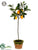 Lemon Topiary - Yellow - Pack of 2