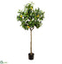 Silk Plants Direct Lemon Tree - Yellow Green - Pack of 2