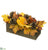 Pumpkin, Rose Hip, Pine Cone - Orange Rust - Pack of 6