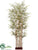 Silk Plants Direct Bamboo Tree - Variegated - Pack of 2