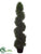 Rosemary Spiral Topiary - Green - Pack of 1