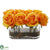 Silk Plants Direct Blooming Roses - Orange Yellow - Pack of 1