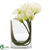 Silk Plants Direct Calla Lily - White - Pack of 1