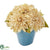 Silk Plants Direct Dahlia - Cream - Pack of 1