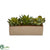 Silk Plants Direct Mixed Succulent Pot - Pack of 1