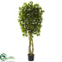 Silk Plants Direct Ficus - Pack of 1