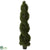 Silk Plants Direct Double Pond Cypress Spiral Topiary - Pack of 1