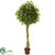 Silk Plants Direct Ficus Artificial Topiary - Pack of 1