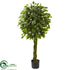 Silk Plants Direct Ficus Artificial Tree - Pack of 1