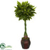 Silk Plants Direct Money Artificial Tree - Pack of 1