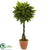 Silk Plants Direct Money Artificial Tree - Pack of 1