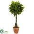 Silk Plants Direct Money Artificial Tree - Pack of 1