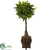 Silk Plants Direct Money Artificial Tree - Pack of 1