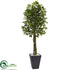 Silk Plants Direct Ficus Tree - Pack of 1