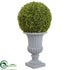 Silk Plants Direct Boxwood Topiary - Pack of 1