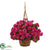 Silk Plants Direct Geranium Hanging Basket Artificial Plant - Beauty - Pack of 1