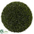 Silk Plants Direct Boxwood Ball - Pack of 1