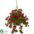 Silk Plants Direct Geranium Hanging Basket - Red - Pack of 1