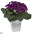 Silk Plants Direct Gloxinia Artificial Plant - Pack of 1