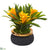 Silk Plants Direct Bromeliad Artificial Plant - Yellow - Pack of 1