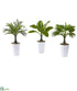 Silk Plants Direct Assorted Mini Palm and Banana Artificial Plant in White Planter - Pack of 3