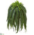 Silk Plants Direct Boston Fern Artificial Plant - Pack of 1