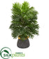 Silk Plants Direct Areca Palm Artificial Plant - Pack of 1