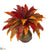 Silk Plants Direct Autumn Boston Fern Artificial Plant - Pack of 1