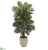 Silk Plants Direct Areca Palm Artificial Plant - Pack of 1