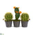 Silk Plants Direct Cactus Artificial Plant - Pack of 1