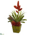 Silk Plants Direct Succulent and Bromeliad Artificial Plant - Pack of 1