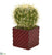 Silk Plants Direct Cactus Succulent Artificial Plant - Pack of 1