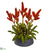 Silk Plants Direct Tropical Bromeliad Artificial Plant - Pack of 1